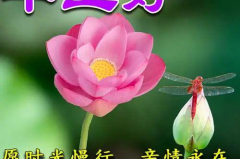 最美祝福语大全简短,温馨简短，传递美好