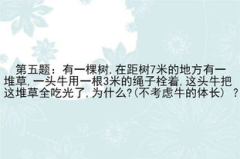 特别难的10个字谜,十大高难度字谜挑战之旅