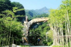画眉谷门票,门票价格与景区攻略全解析”