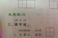 另有变动打一字谜底,另有变动打一字，谜底为‘加字”